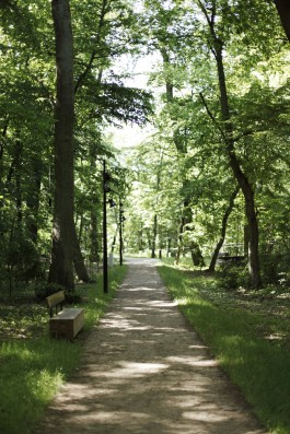 Pracownia Architektury Krajobrazu