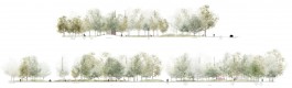 Pracownia Architektury Krajobrazu